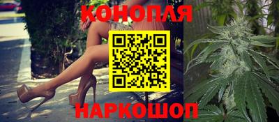 Альфа ПВП Дубна