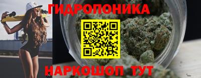Альфа ПВП Дубна