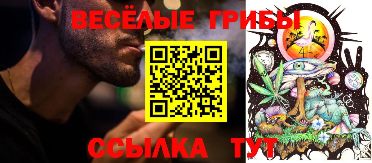 Галлюциногенные грибы Psilocybine cubensis Нерюнгри