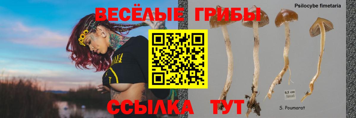 Псилоцибиновые грибы Magic Shrooms  Вход с VPN  Нерюнгри 